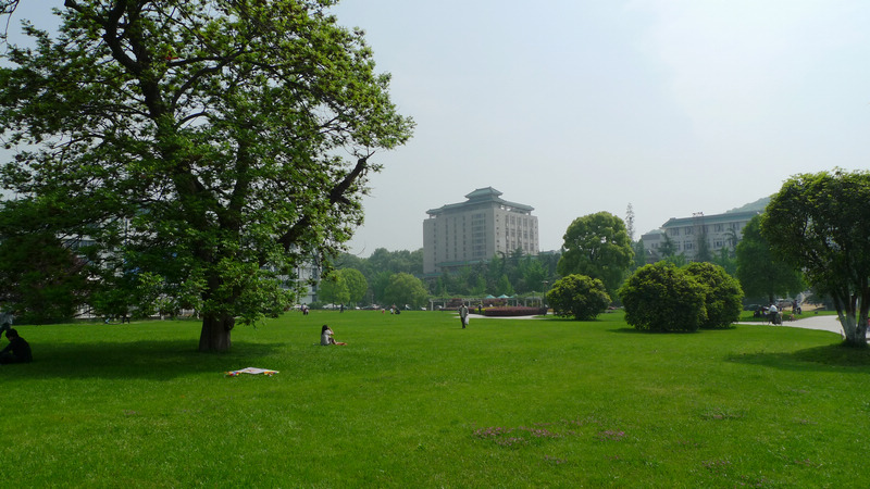 p1100668.jpg