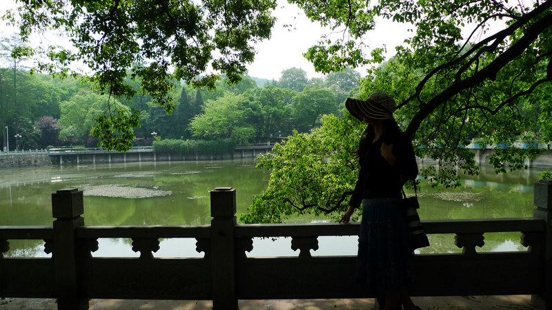 p1100673.jpg