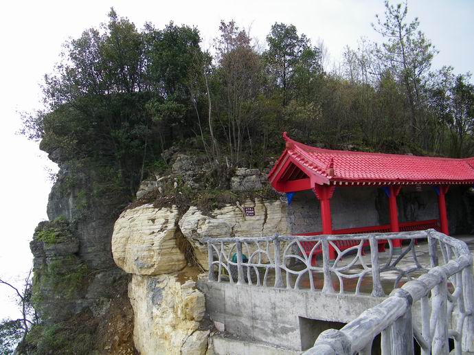 100_0235.jpg