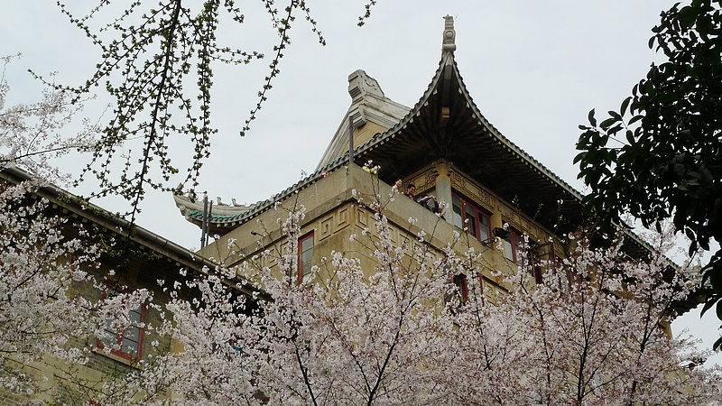 p1100312.jpg
