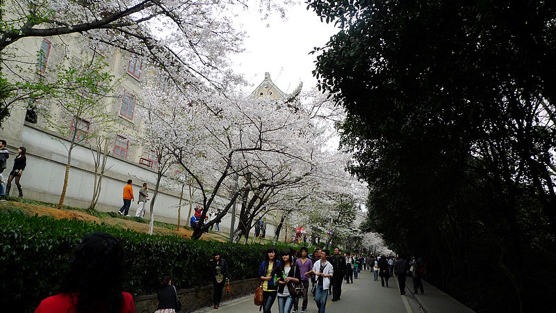 p1100317.jpg