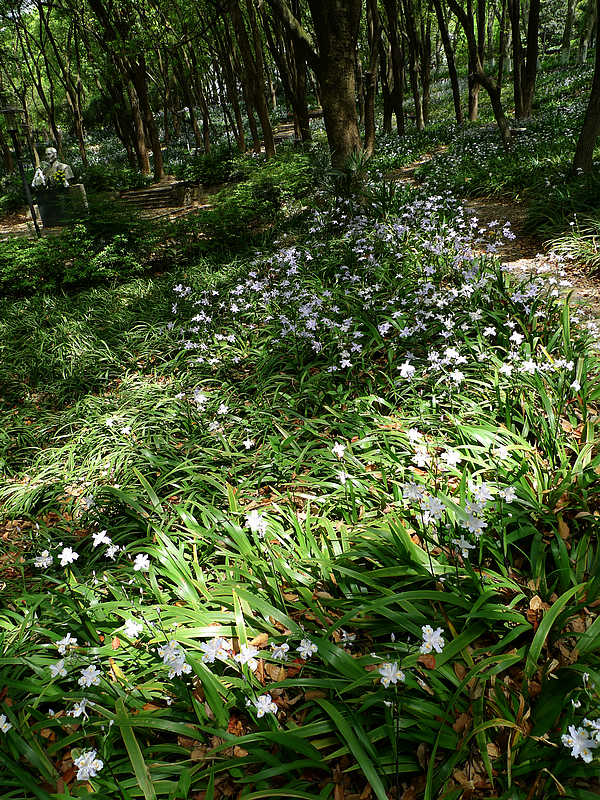p1100564.jpg