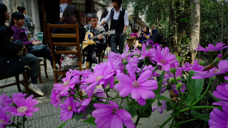 p1100276.jpg
