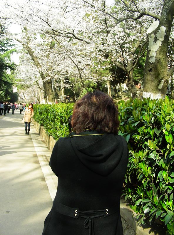 dscn9568.jpg