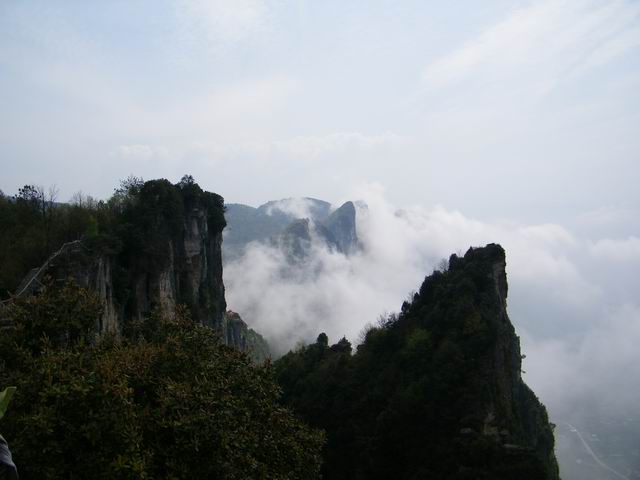 100_0242.jpg
