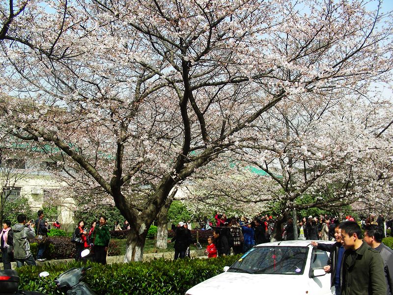 dscn9612.jpg