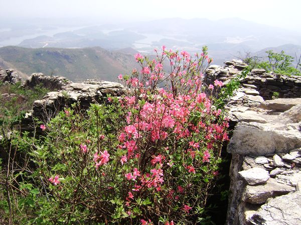 dsc08800-1.jpg