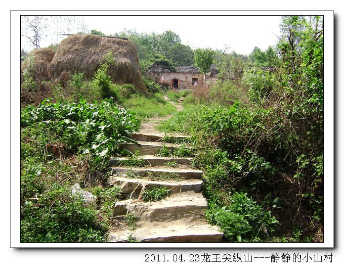 dsc08821-1.jpg