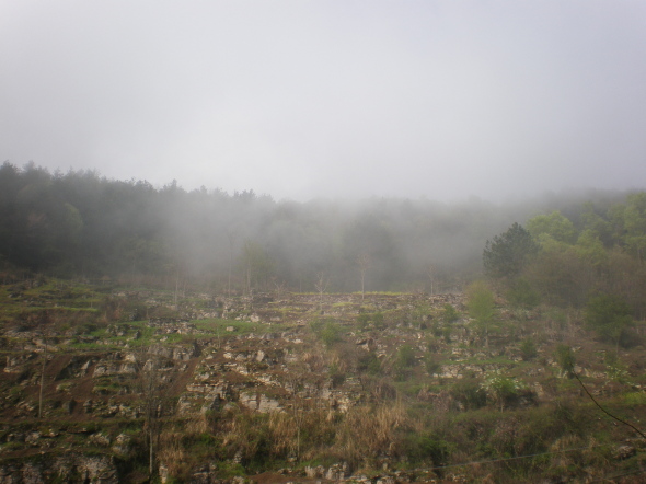 20110422_091138_27.jpg