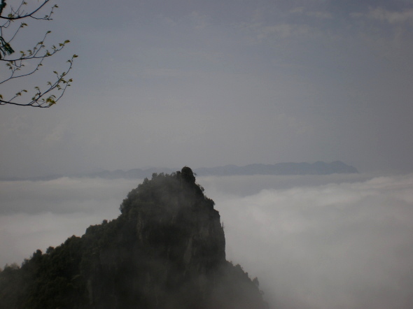 20110422_101114_48.jpg