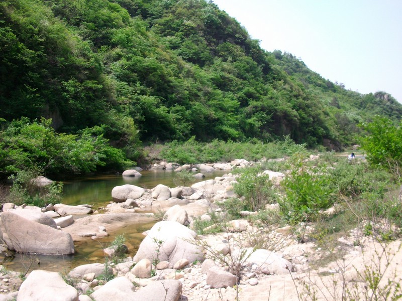 alim5618.jpg