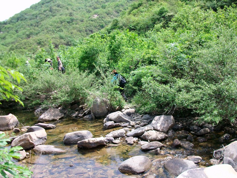 alim5625.jpg