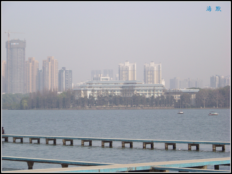 20110317g󶫺貨 (17).jpg
