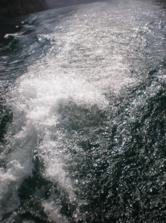 20110422_151828_221.jpg