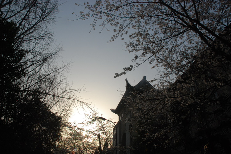 dsc_0028.jpg