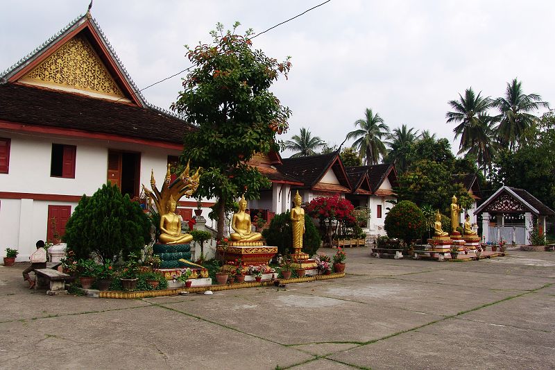 dsc01146.jpg