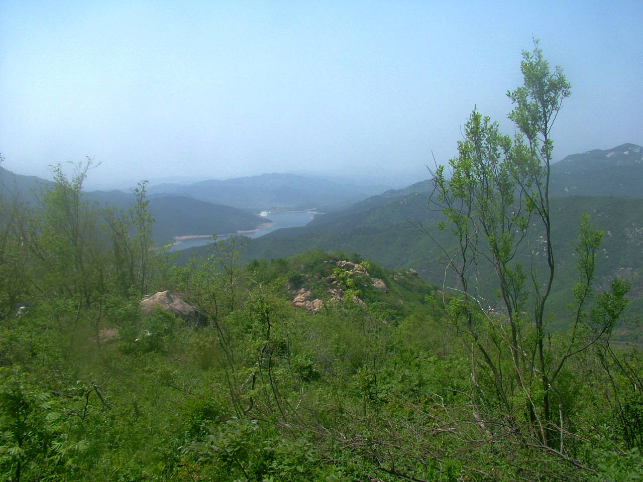 dscf5193.jpg
