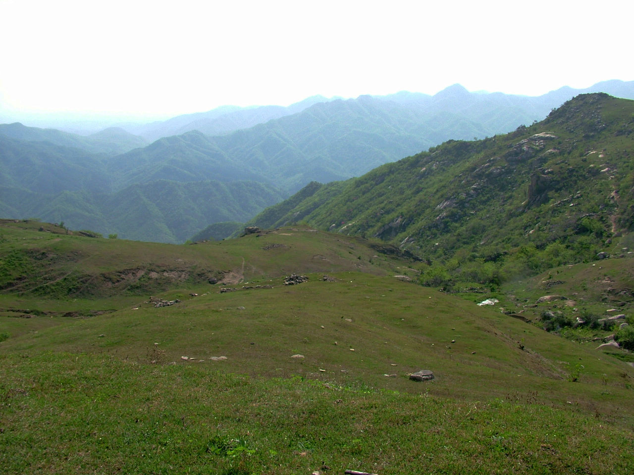 dscf5212.jpg
