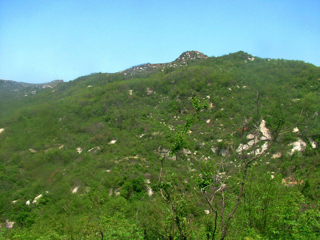 dscf5194.jpg