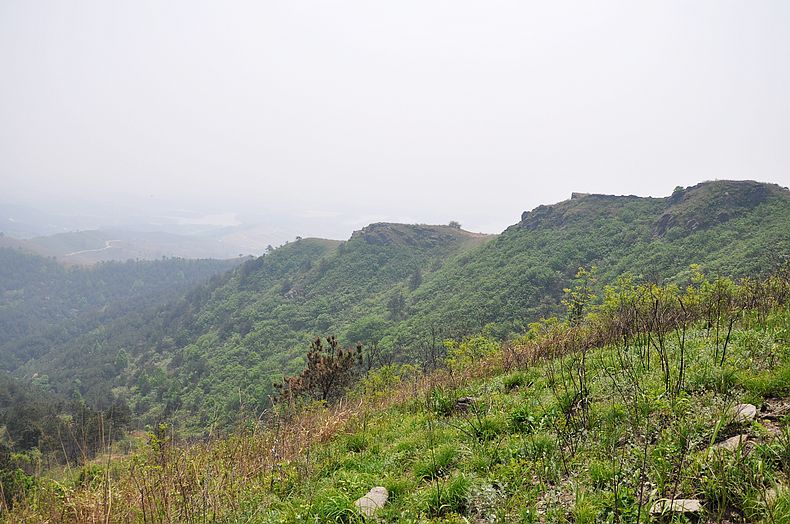 dsc_2094.jpg