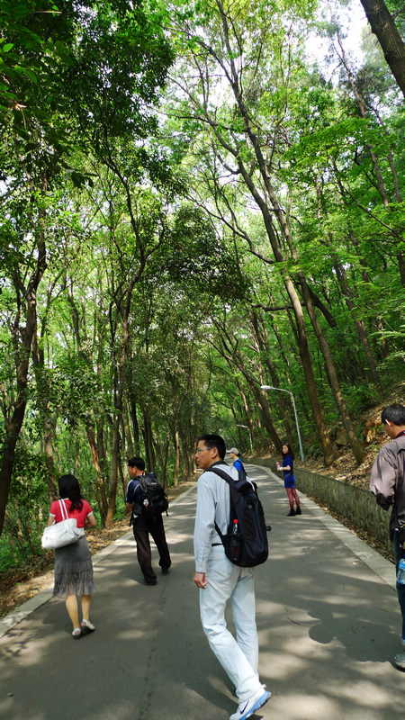 p1100734.jpg
