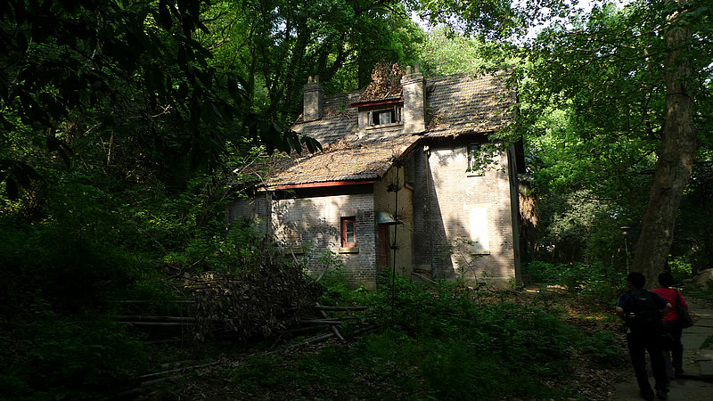 p1100741.jpg