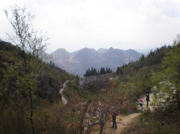 20110423_130352_259.jpg
