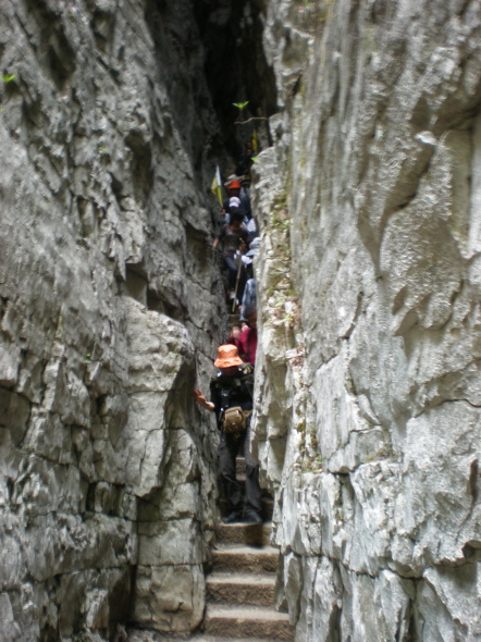 20110423_132621_272.jpg