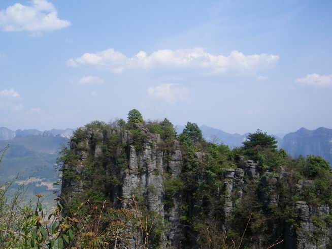 100_0385.jpg