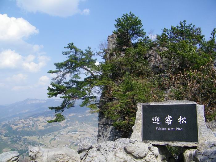 100_0396.jpg