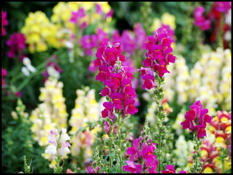 conew_427ڷҹн̲ 005_conew1.jpg