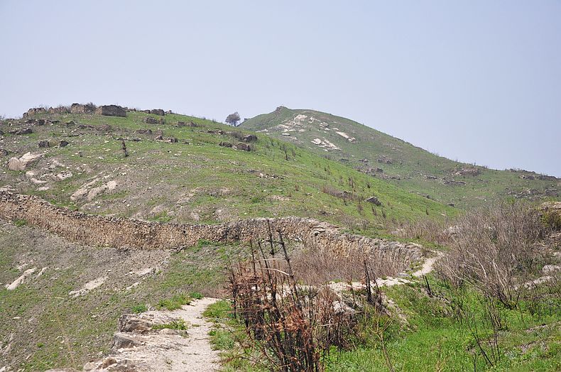 dsc_2248.jpg