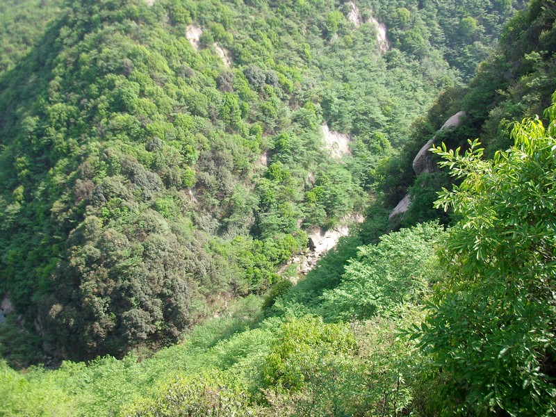 alim5705.jpg