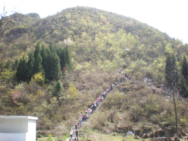 20110423_141916_286.jpg