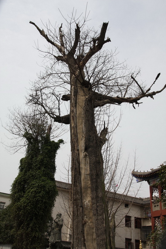 Ŀǭ 019.jpg