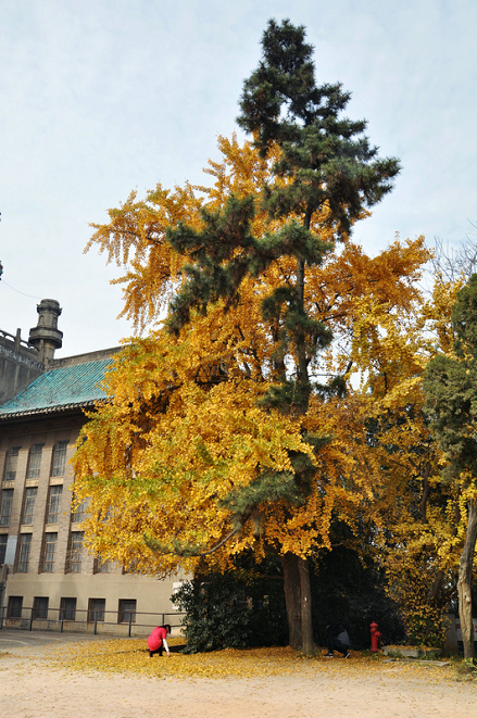 dsc_00901.jpg