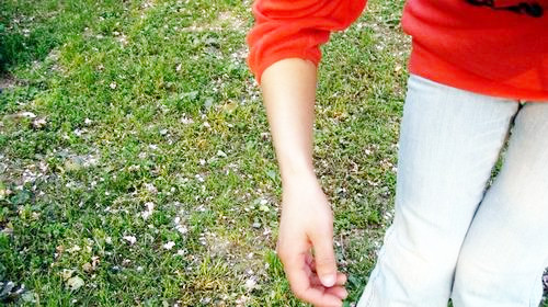 37149602_11412888.jpg