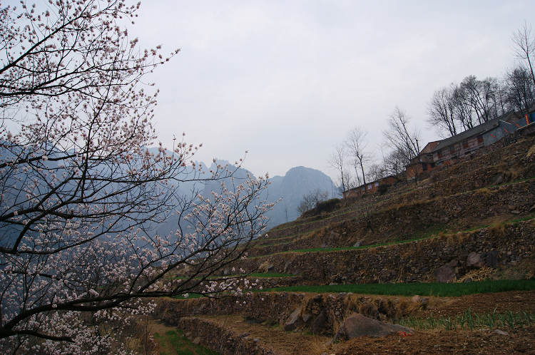 dsc04852.jpg