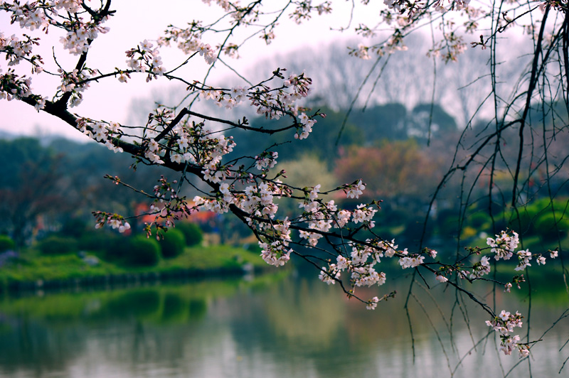 dsc_5643a.jpg
