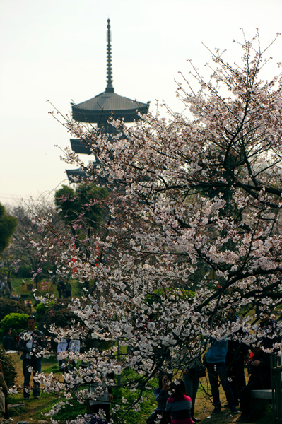 dsc_5644a.jpg