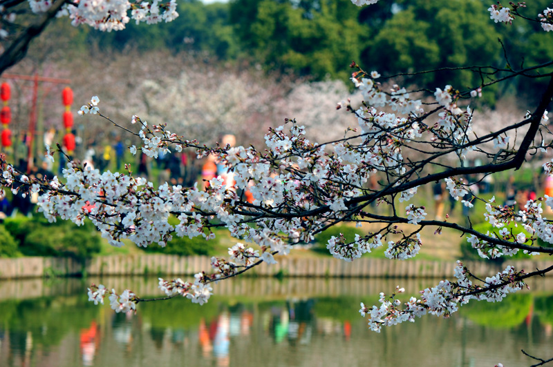 dsc_5647a.jpg