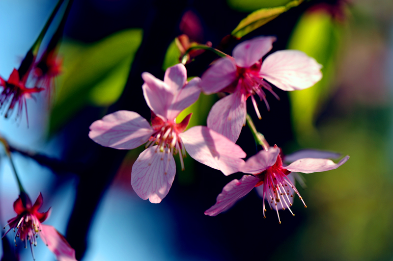 dsc_5669a.jpg