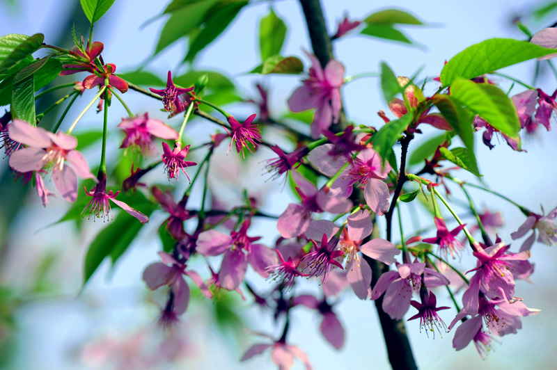 dsc_5672a.jpg