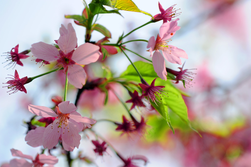 dsc_5673a.jpg