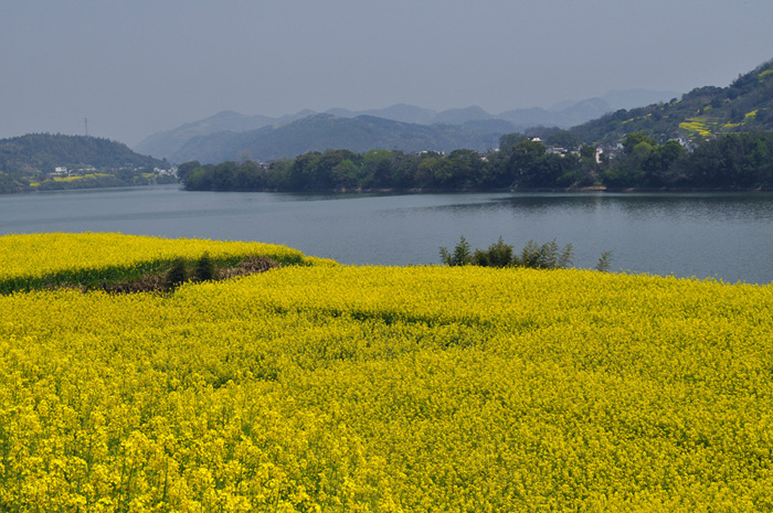 Դ20110405 305.jpg