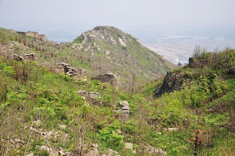 dsc_2307.jpg