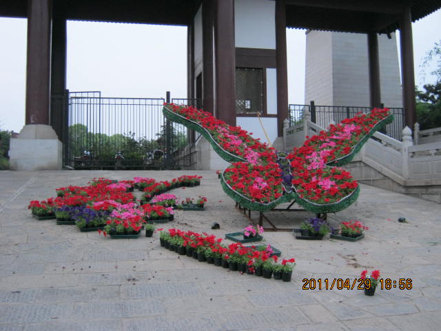 img_2514.jpg