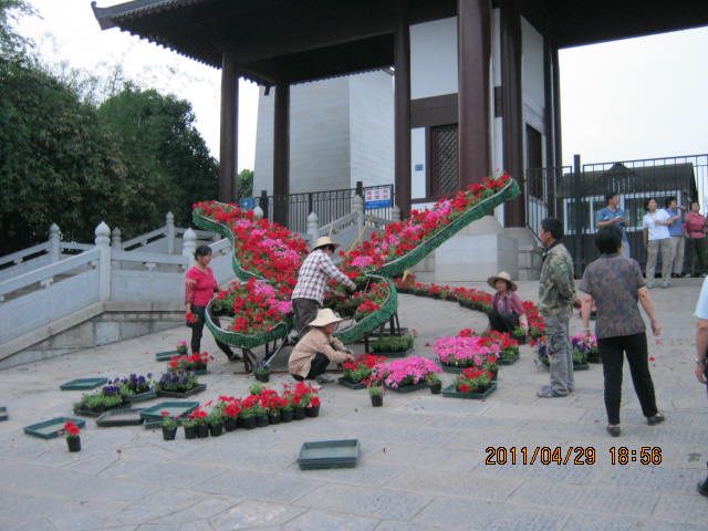 img_2515.jpg
