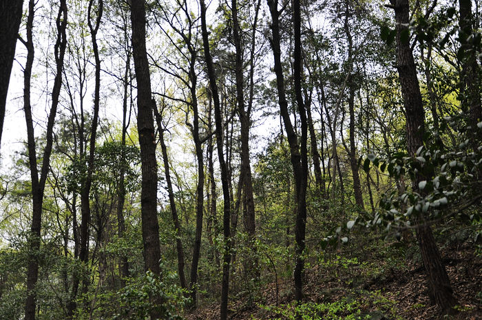 dsc_1382.jpg