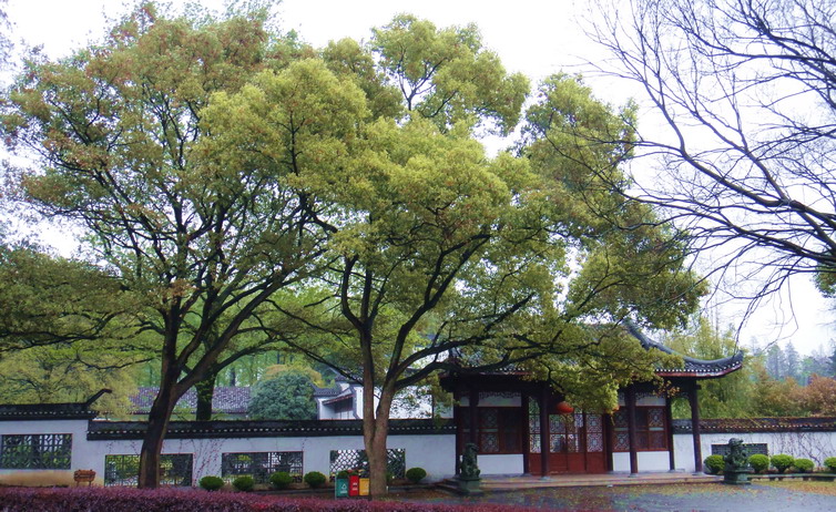 dsc06002.jpg